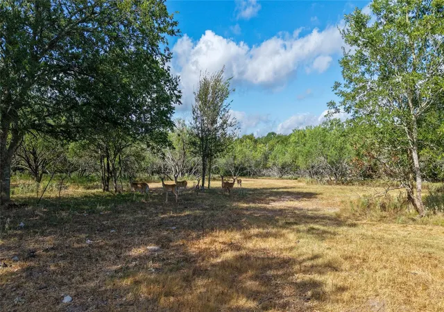 Photo 3 of Sale Pending at Tract 5 Tbd Mensik Rd, Bryan, TX 77808 | MLS# 18984352 | Listing updated on 2026-09-20