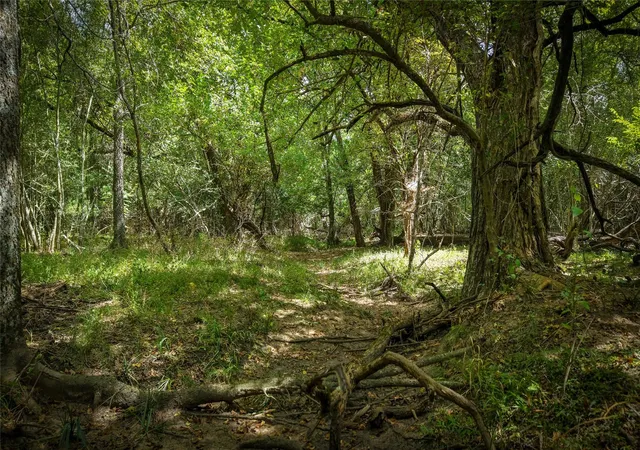 Photo 4 of Sale Pending at Tract 5 Tbd Mensik Rd, Bryan, TX 77808 | MLS# 18984352 | Listing updated on 2026-09-20