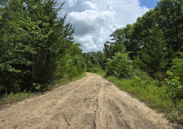 Photo 3 of Land for sale at Tbd Nelson Ln, Navasota, TX 77868 | MLS# 84709738 | Listing updated on 2026-09-09