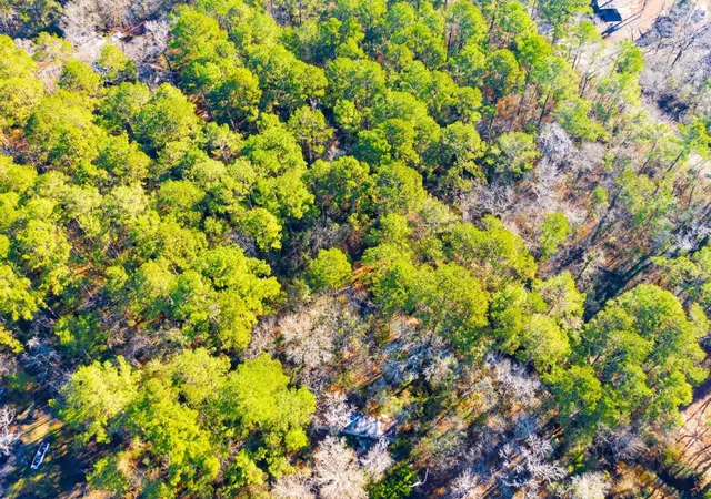 Photo 2 of Land for sale at Lot 30 Cedar Ct, Trinity, TX 75862 | MLS# 70432351 | Listing updated on 2026-09-11