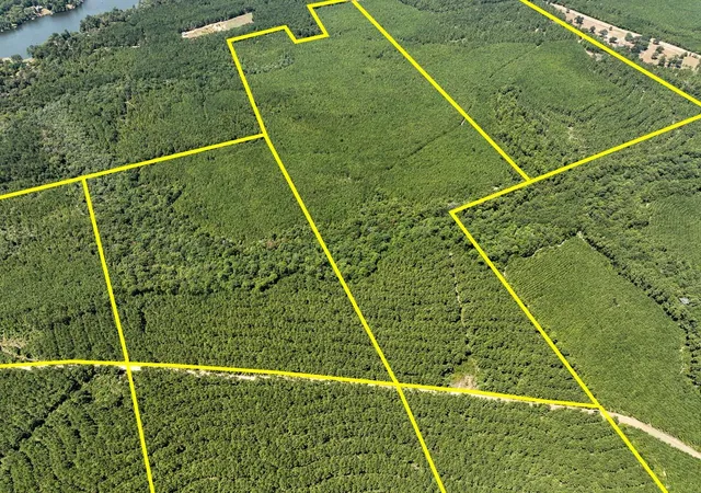 Photo 2 of Land for sale at 2 County Rd 3230, Colmesneil, TX 75938 | MLS# 42352276 | Listing updated on 2026-08-31