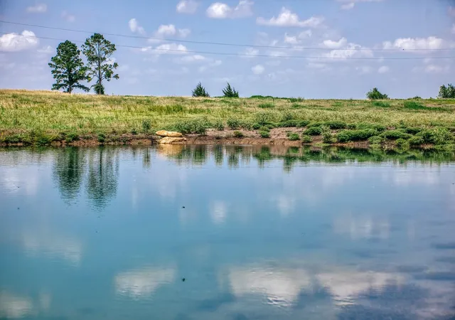 Photo 2 of Land for sale at 9909 Latium Cemetery Rd Tract 1, Burton, TX 77835 | MLS# 15324646 | Listing updated on 2026-09-15