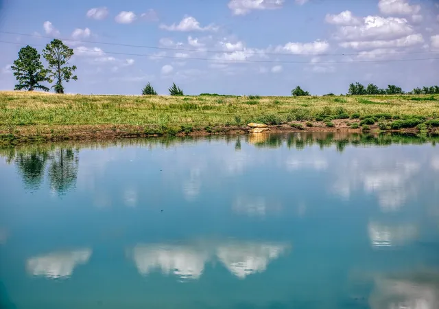 Photo 3 of Land for sale at 9909 Latium Cemetery Rd Tract 1, Burton, TX 77835 | MLS# 15324646 | Listing updated on 2026-09-15