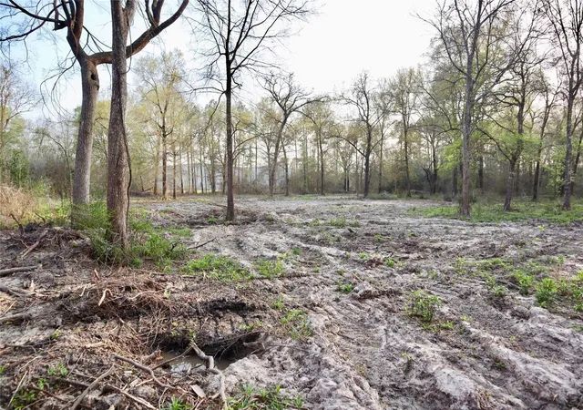 Photo 4 of Land for sale at 0 Hanna St, Houston, TX 77028 | MLS# 10981515 | Listing updated on 2026-09-07