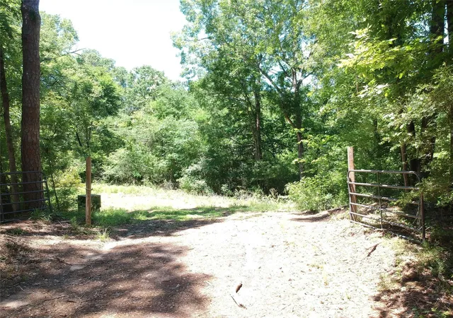 Photo 2 of Land for sale at 5183 Felix Currie Rd, Pointblank, TX 77364 | MLS# 96164989 | Listing updated on 2026-09-17