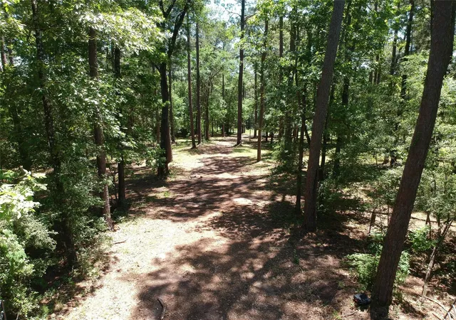 Photo 3 of Land for sale at 5183 Felix Currie Rd, Pointblank, TX 77364 | MLS# 96164989 | Listing updated on 2026-09-17