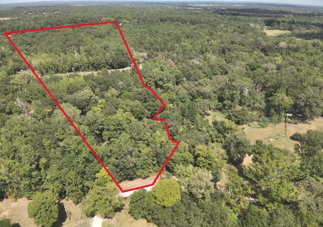 Land for sale at 12.72 Ac Cr 134 Bocaregra Rd, Leona, TX 75850 | MLS# 58694027