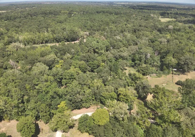 Photo 2 of Land for sale at 1272 Ac Cr 134 Bocaregra Rd, Leona, TX 75850 | MLS# 58694027 | Listing updated on 2026-10-03