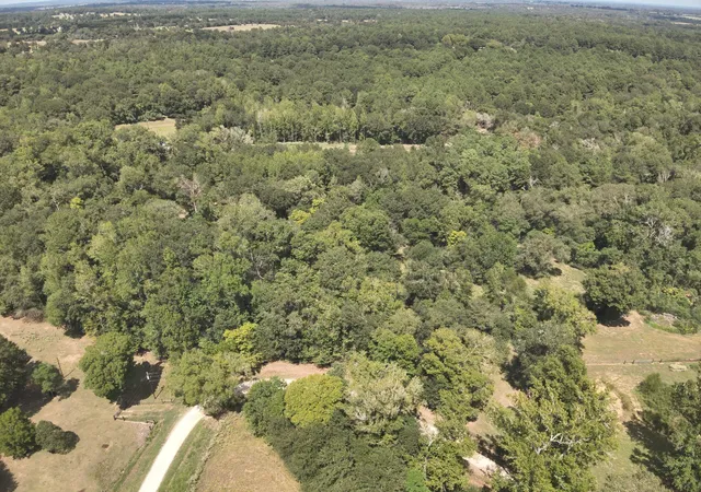 Photo 3 of Land for sale at 1272 Ac Cr 134 Bocaregra Rd, Leona, TX 75850 | MLS# 58694027 | Listing updated on 2026-10-03