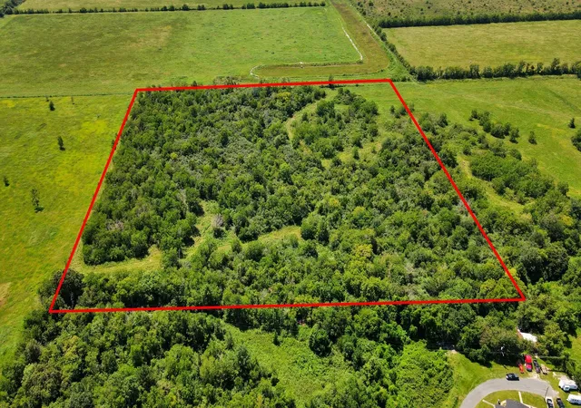 Photo 3 of Land for sale at 253 Ford Ln, Baytown, TX 77523 | MLS# 51238559 | Listing updated on 2026-09-12