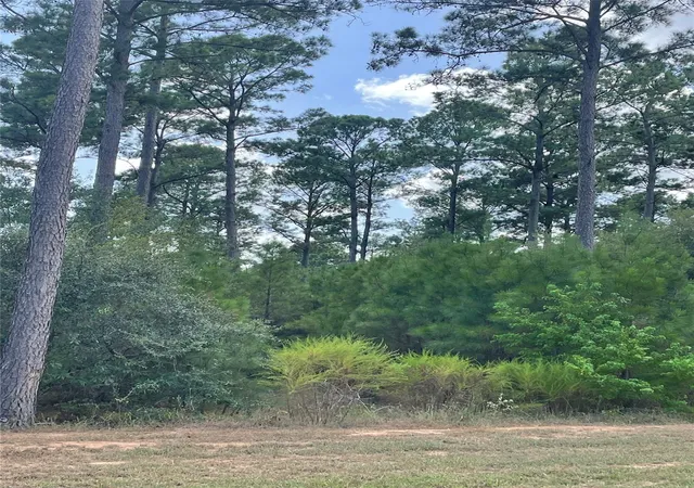 Land for sale at 9424 Old Cedars Dr, Plantersville, TX 77363 | MLS# 26851292