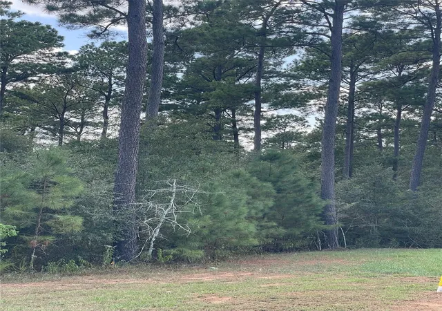 Photo 1 of Land for sale at 9424 Old Cedars Dr, Plantersville, TX 77363 | MLS# 26851292 | Listing updated on 2026-09-22