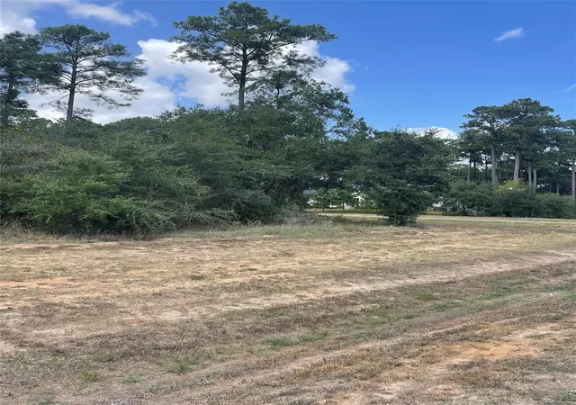 Photo 2 of Land for sale at 9424 Old Cedars Dr, Plantersville, TX 77363 | MLS# 26851292 | Listing updated on 2026-09-22