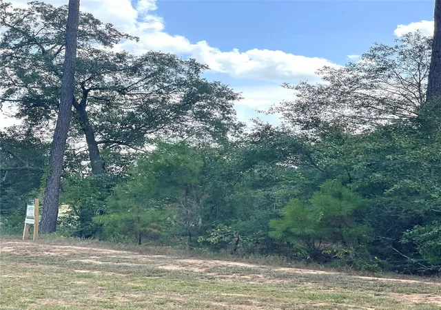 Photo 3 of Land for sale at 9424 Old Cedars Dr, Plantersville, TX 77363 | MLS# 26851292 | Listing updated on 2026-09-22