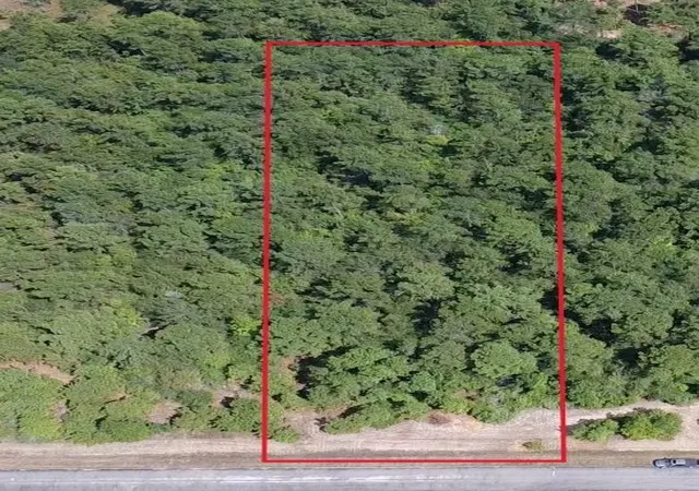 Land for sale at 0 Bambi Ct, Cleveland, TX 77328 | MLS# 75229774