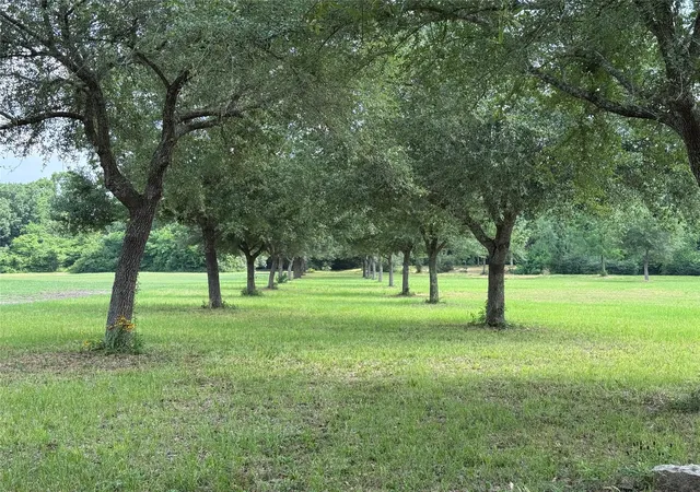Photo 1 of Land for sale at 24077 Old Dobbin Plantersvil Rd, Montgomery, TX 77316 | MLS# 62721571 | Listing updated on 2026-09-14