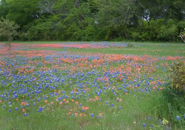 Photo 1 of Land for sale at 800 Archie Ln, Belton, TX 76513 | MLS# 49447036 | Listing updated on 2026-09-25