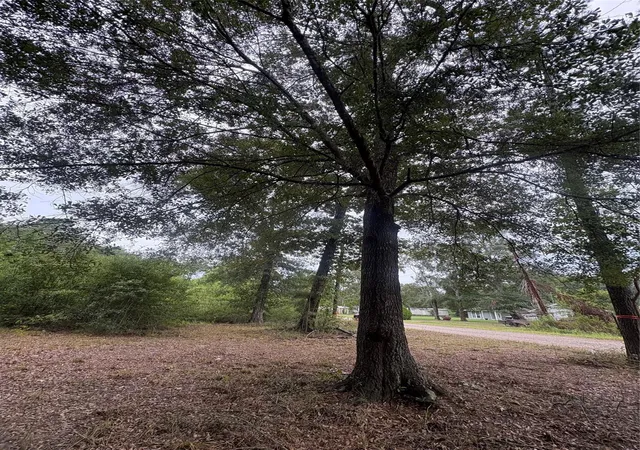 Photo 1 of Land for sale at 27418 Coral Rd, Splendora, TX 77372 | MLS# 57025687 | Listing updated on 2026-09-02