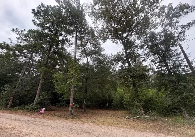 Photo 3 of Land for sale at 27418 Coral Rd, Splendora, TX 77372 | MLS# 57025687 | Listing updated on 2026-09-02