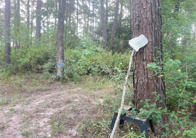 Photo 3 of Land for sale at 000 Hardy Rd, Houston, TX 77073 | MLS# 5490916 | Listing updated on 2026-09-20