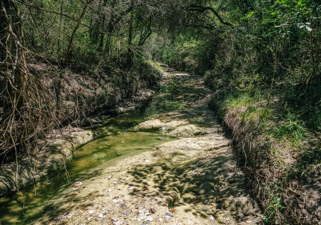 Photo 2 of Land for sale at 5003 Rocky Crk Manor, Burton, TX 77835 | MLS# 28362813 | Listing updated on 2026-09-11