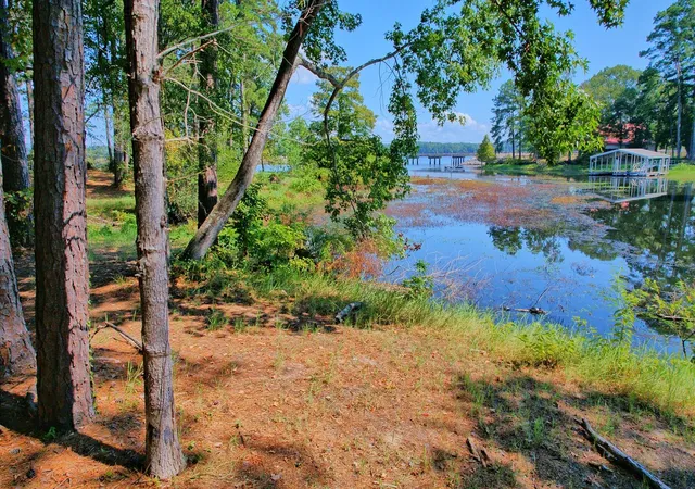 Photo 3 of Sale Pending at 431 Madie Duhon Dr, Hemphill, TX 75948 | MLS# 18701175 | Listing updated on 2026-09-23