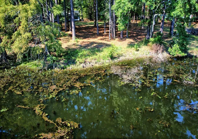 Photo 3 of Sale Pending at 431 Madie Duhon Dr, Hemphill, TX 75948 | MLS# 18701175 | Listing updated on 2026-09-23