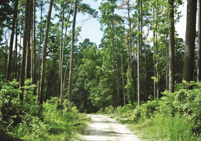 Photo 24 of Land for sale at 4b 11 3 Sundog Rd, Huntsville, TX 77340 | MLS# 9805938 | Listing updated on 2026-09-10