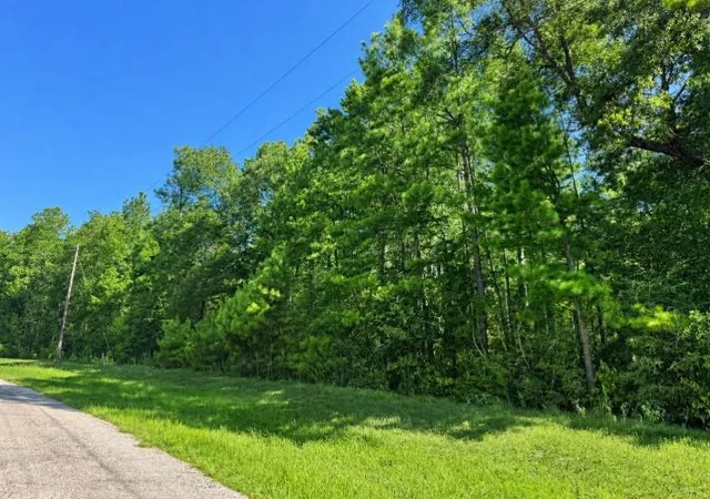 Photo 2 of Land for sale at 4b 11 3 Sundog Rd, Huntsville, TX 77340 | MLS# 9805938 | Listing updated on 2026-09-10
