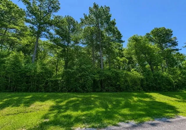 Photo 3 of Land for sale at 4b-11-3 Sundog Rd, Huntsville, TX 77340 | MLS# 9805938 | Listing updated on 2026-09-10