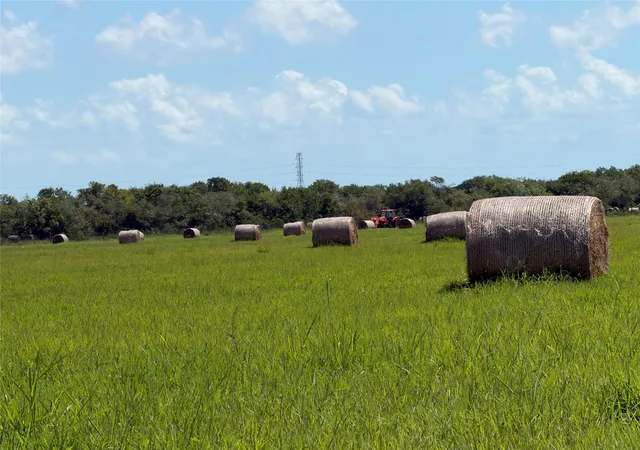 Photo 2 of Land for sale at 0 County Rd 170, Alvin, TX 77511 | MLS# 67690983 | Listing updated on 2026-09-20