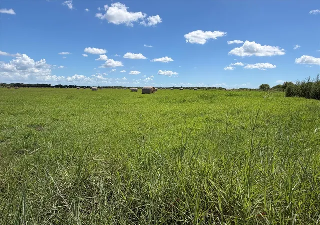 Photo 3 of Land for sale at 0 County Rd 170, Alvin, TX 77511 | MLS# 67690983 | Listing updated on 2026-09-20