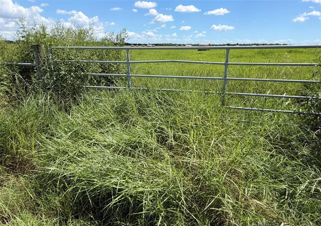 Photo 3 of Land for sale at 0 County Rd 170, Alvin, TX 77511 | MLS# 67690983 | Listing updated on 2026-09-20