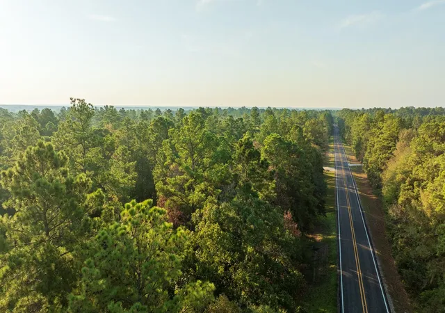 Photo 3 of Land for sale at 00 Fm 2497, Lufkin, TX 75904 | MLS# 79923289 | Listing updated on 2026-09-03