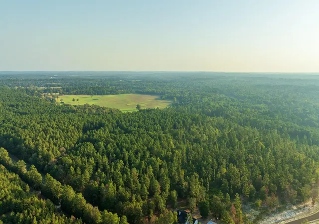 Photo 4 of Land for sale at 00 Fm 2497, Lufkin, TX 75904 | MLS# 79923289 | Listing updated on 2026-09-03