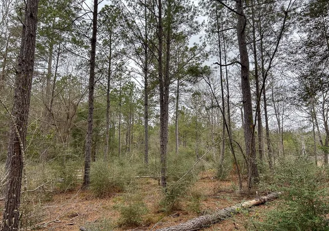 Photo 3 of Land for sale at Tbd Cr 4520, Warren, TX 77664 | MLS# 94144474 | Listing updated on 2026-09-16