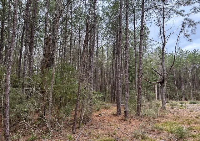 Photo 3 of Land for sale at Tbd Cr 4520, Warren, TX 77664 | MLS# 94144474 | Listing updated on 2026-09-16