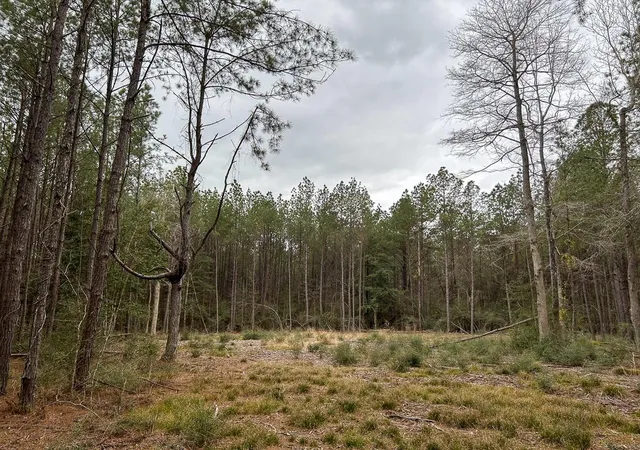 Photo 4 of Land for sale at Tbd Cr 4520, Warren, TX 77664 | MLS# 94144474 | Listing updated on 2026-09-16