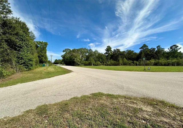 Land for sale at Tbd N Country Wood Dr, Shepherd, TX 77371 | MLS# 33832638