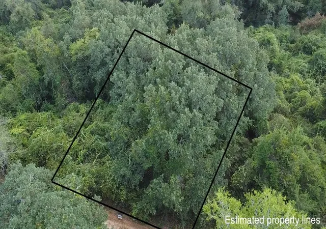 Photo 1 of Land for sale at Tbd Holly Springs, Normangee, TX 77871 | MLS# 54543363 | Listing updated on 2026-09-03