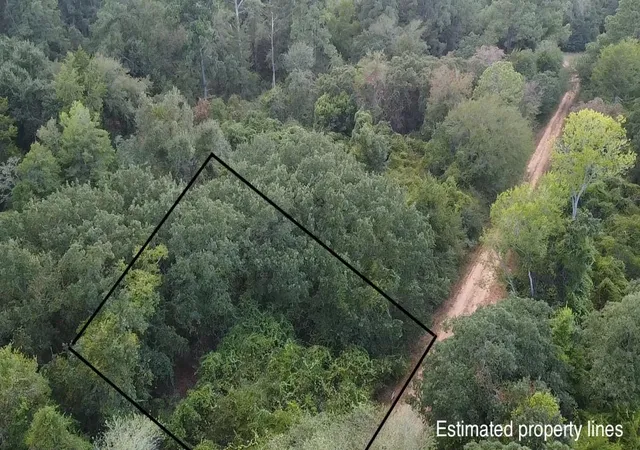 Photo 2 of Land for sale at Tbd Holly Springs, Normangee, TX 77871 | MLS# 54543363 | Listing updated on 2026-09-03