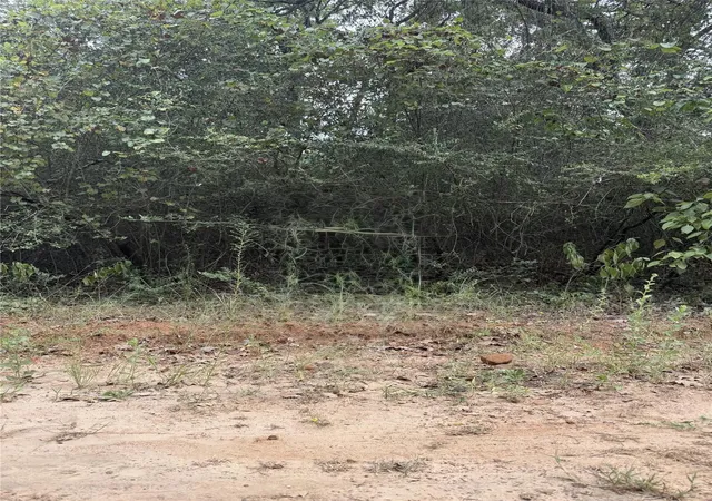 Photo 2 of Land for sale at Tbd Holly Springs, Normangee, TX 77871 | MLS# 54543363 | Listing updated on 2026-09-03