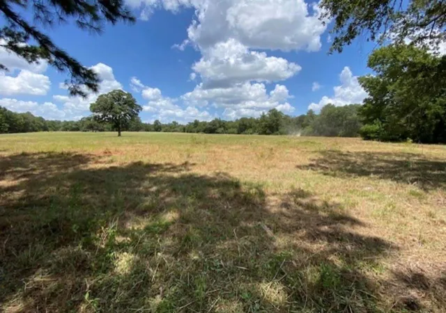 Photo 2 of Land for sale at Tbd County Rd 114, Centerville, TX 75833 | MLS# 26648833 | Listing updated on 2026-09-04