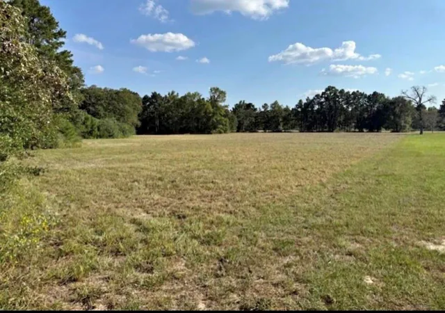 Photo 3 of Land for sale at Tbd County Rd 114, Centerville, TX 75833 | MLS# 26648833 | Listing updated on 2026-09-04
