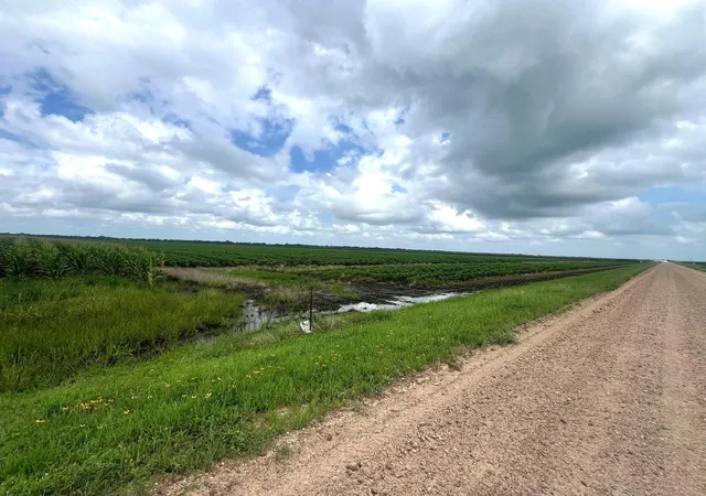 Land for sale at 0 Cr 254, East Bernard, TX 77435 | MLS# 21242968