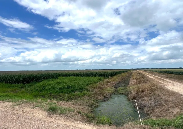 Photo 1 of Land for sale at 0 Cr 254, East Bernard, TX 77435 | MLS# 21242968 | Listing updated on 2026-09-03