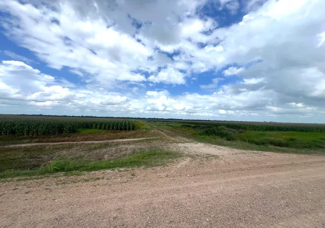 Photo 2 of Land for sale at 0 Cr 254, East Bernard, TX 77435 | MLS# 21242968 | Listing updated on 2026-09-03