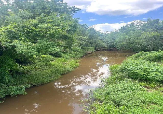 Photo 4 of Land for sale at 0 Cr 254, East Bernard, TX 77435 | MLS# 21242968 | Listing updated on 2026-09-03
