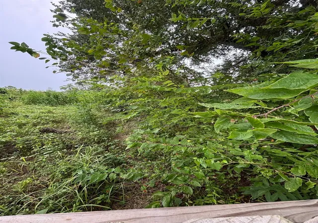 Photo 3 of Land for sale at 0 Parker Rd, Houston, TX 77093 | MLS# 98520141 | Listing updated on 2026-09-09