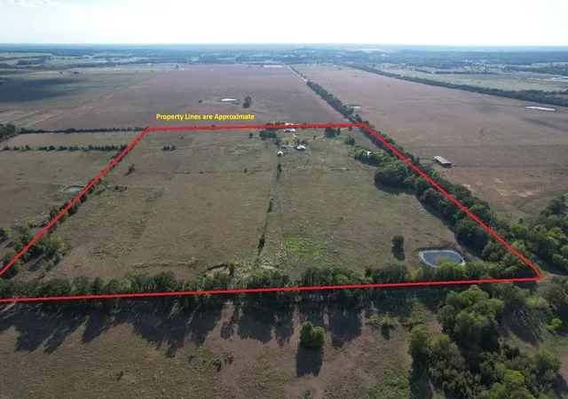 Photo 2 of Land for sale at 8698 County Rd 239, Oakwood, TX 75855 | MLS# 49717442 | Listing updated on 2026-09-20